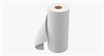 Paper Towel 